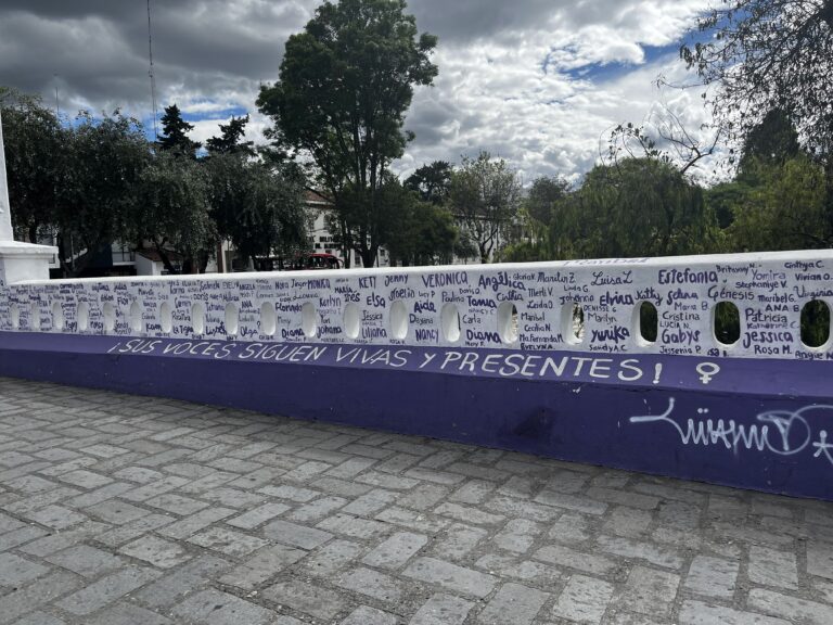 Cuenca Femicide Memorial Bridge one section