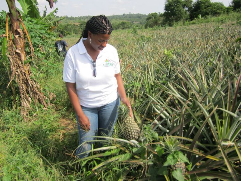 Mercedes stands in a pineapple field in Pepawani, Ghana during her Organizational Capacity Building project.