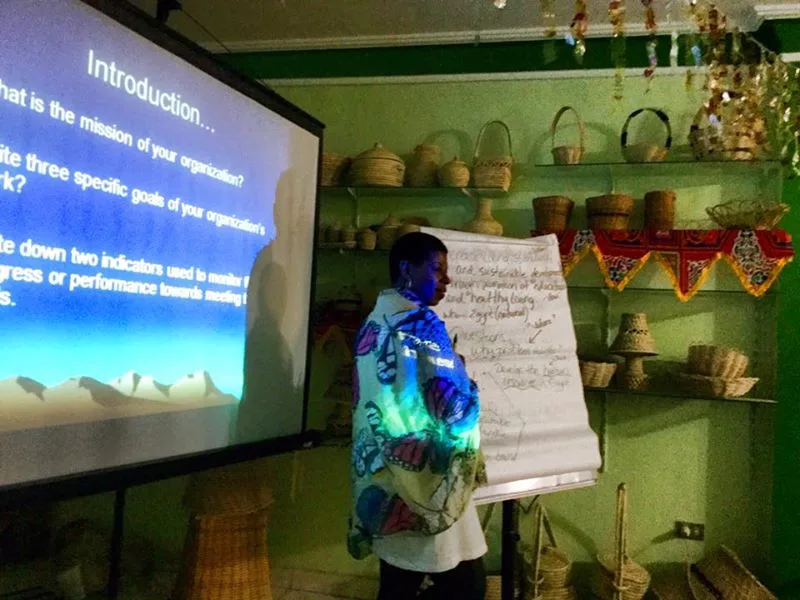 Mercedes Diane Griffin Forbes Delivering Strategic Planning Worshop in Fayoum Agro Organic Development Association