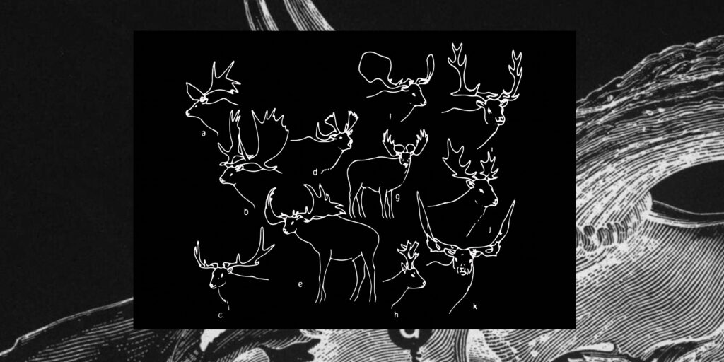 The-Flesh-of-Language-still-showing-animal-drawings