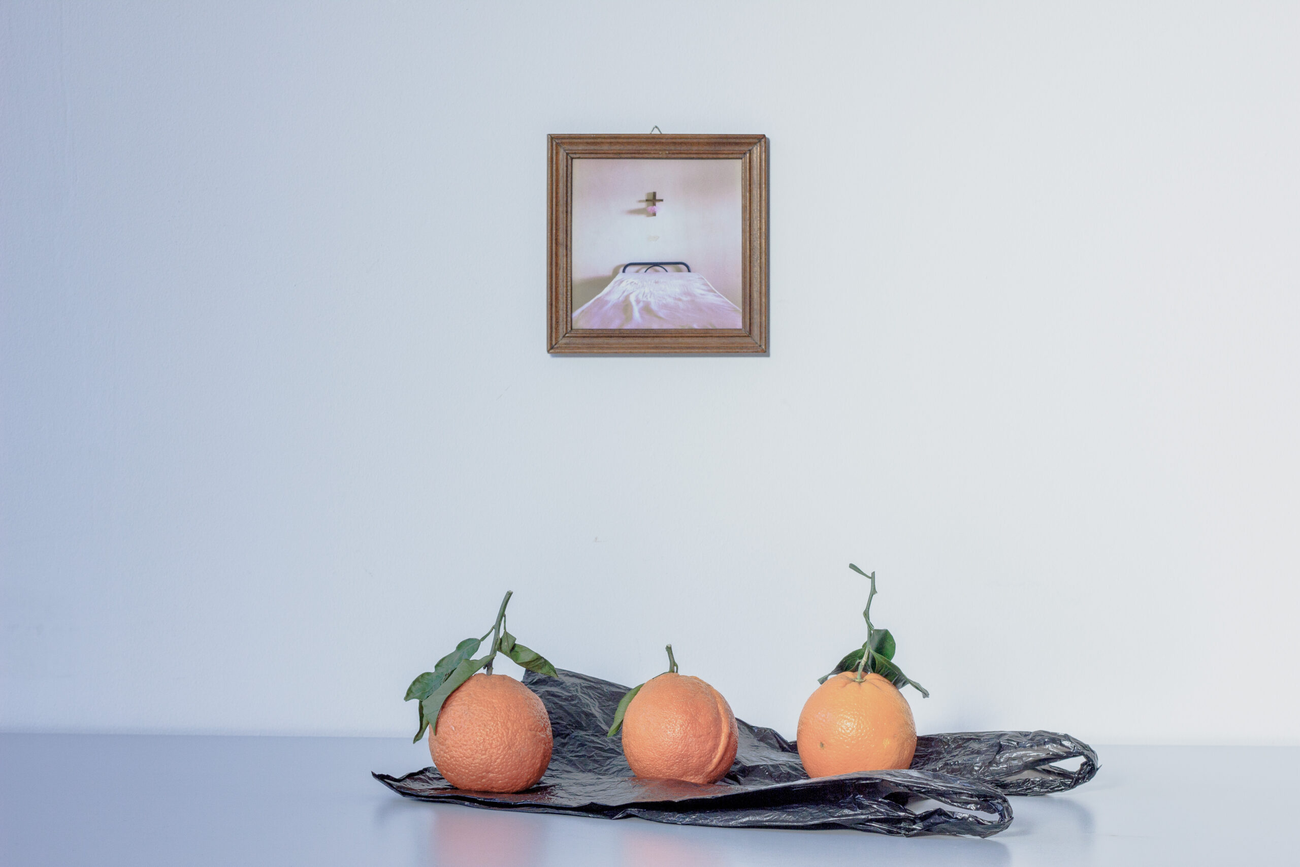 A still from At the Verge of Wordlessness, featuring fragmented stop-motion imagery of rotting oranges that interrogates history and meaning.