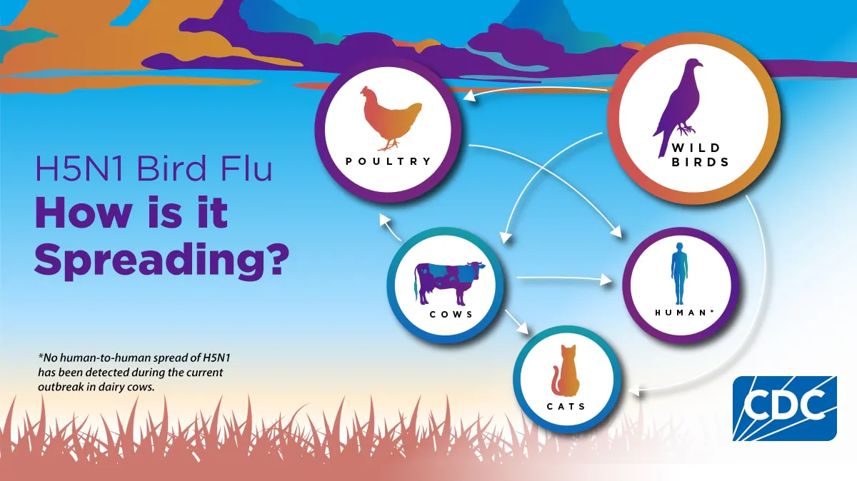 H5 Bird Flu: Current Situation | Bird Flu | CDC Graph