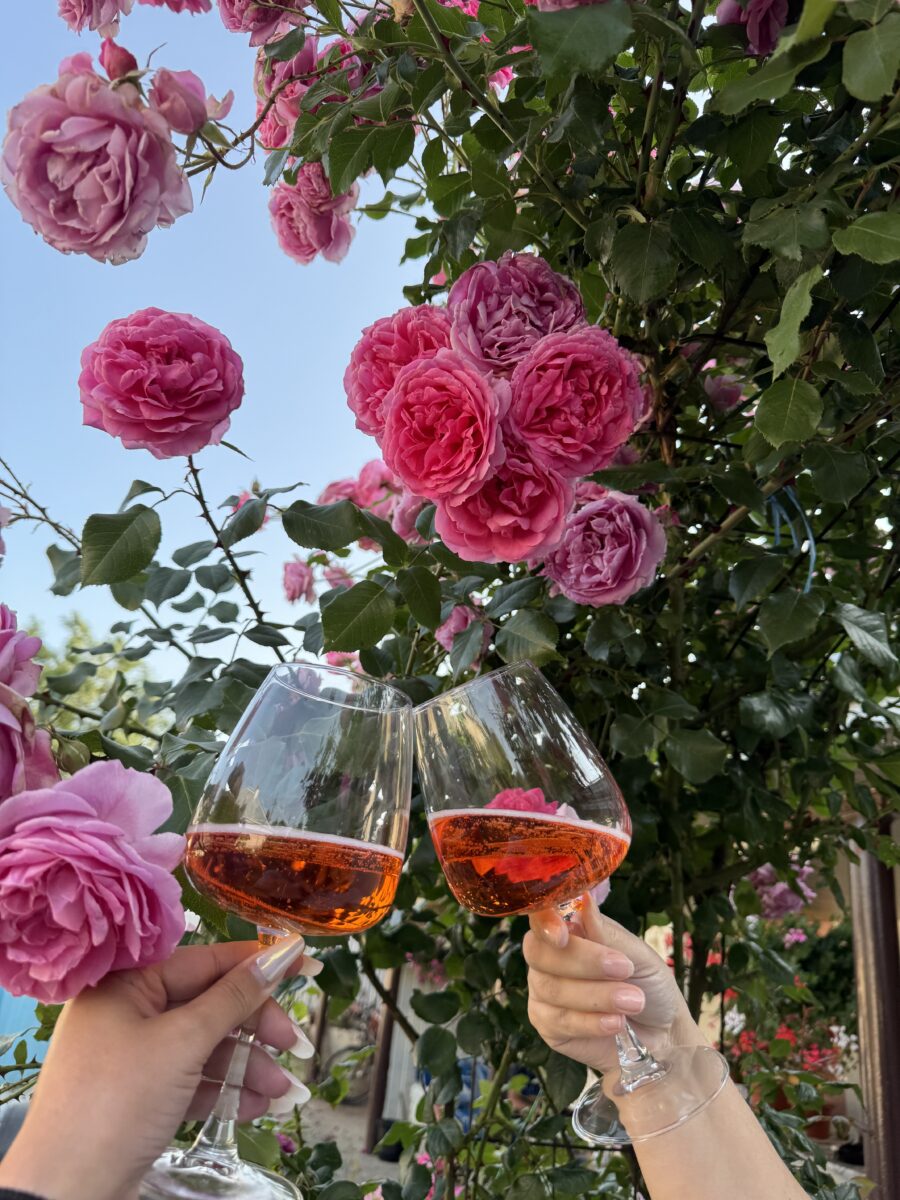 enjoying glasses of indigenous Israeli grapes on a spring table