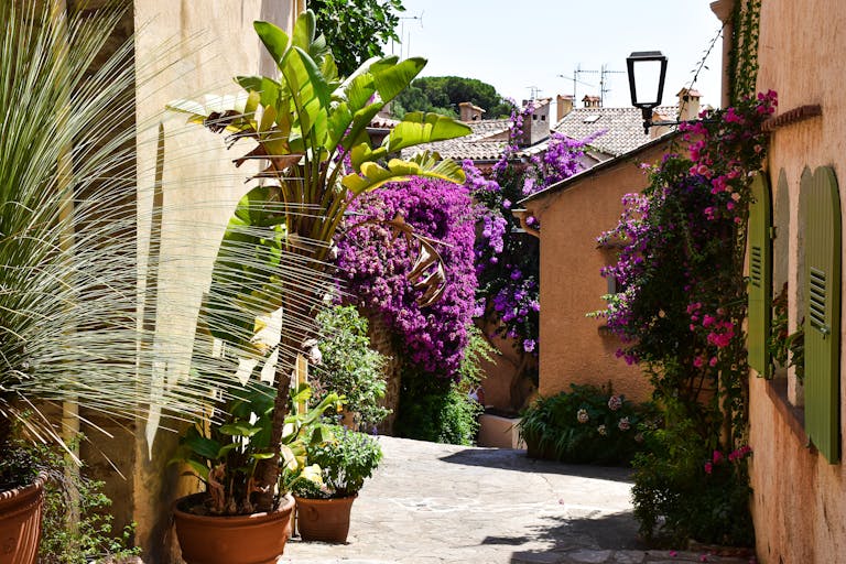 Travel - Explore a picturesque street adorned with vibrant bougainvillea in Bormes-les-Mimosas, South of France.