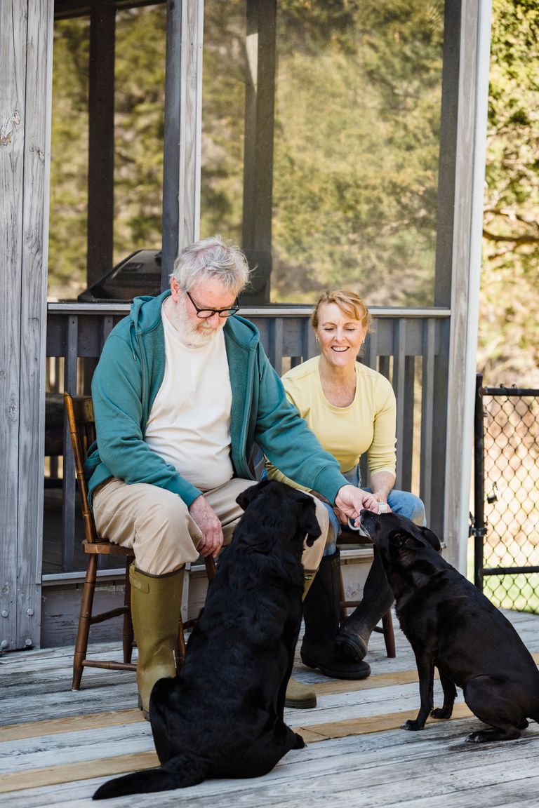 Airbnb Guest Reviews: How to Earn More Five-Star Reviews Naturally -Senior couple seated outside with their two dogs, enjoying a sunny day on the porch.