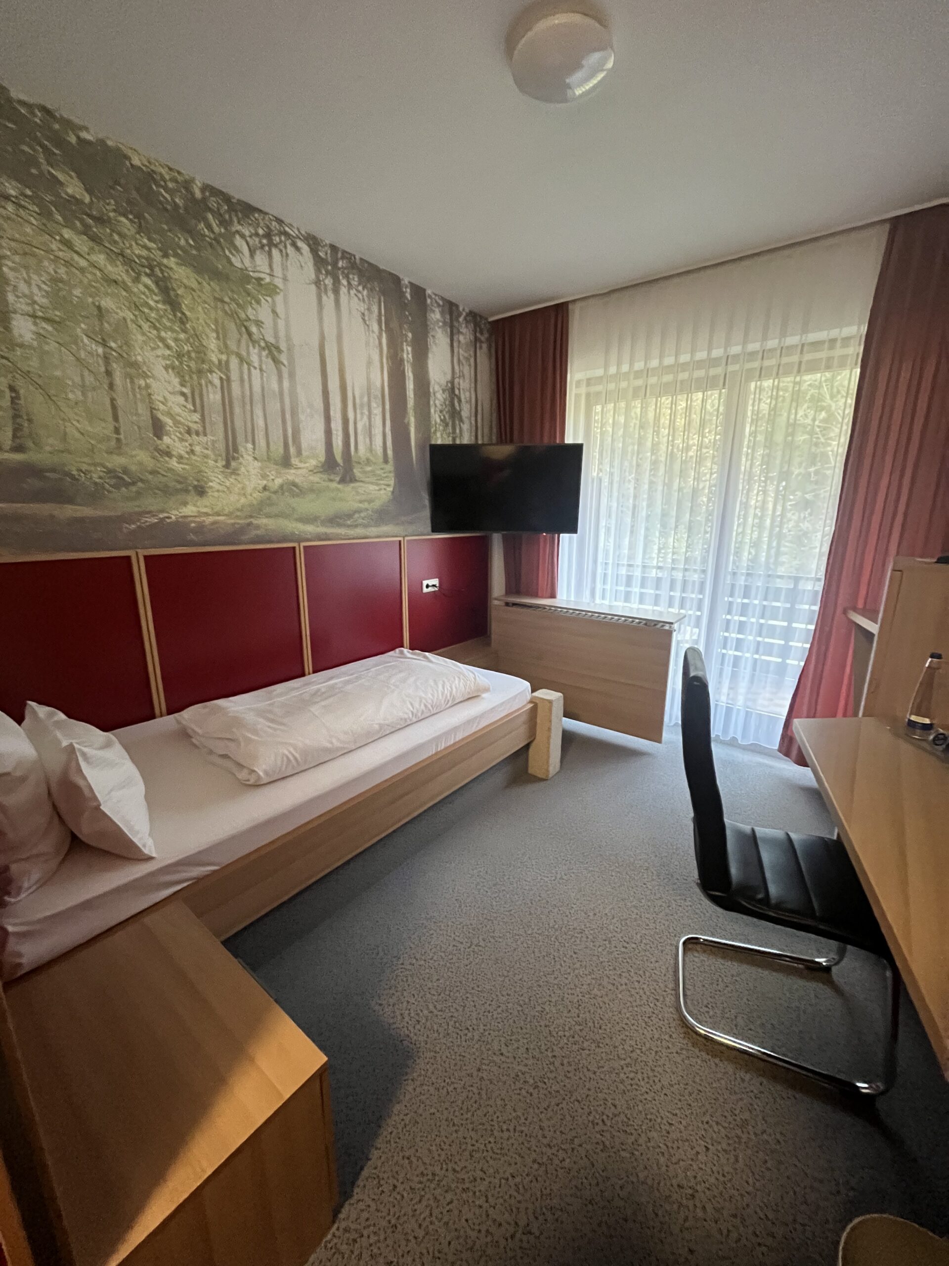 Single room at Waldgasthof Zum Geländer