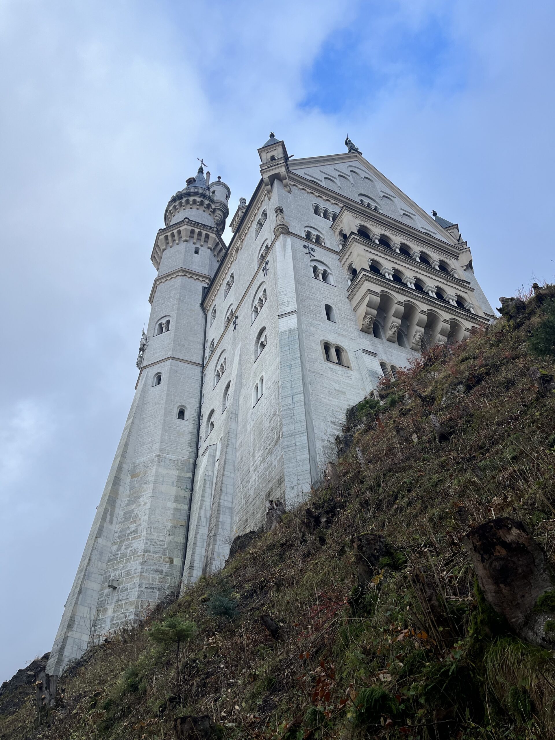 Neuschwanstein Castle rising above a wooded mountainside