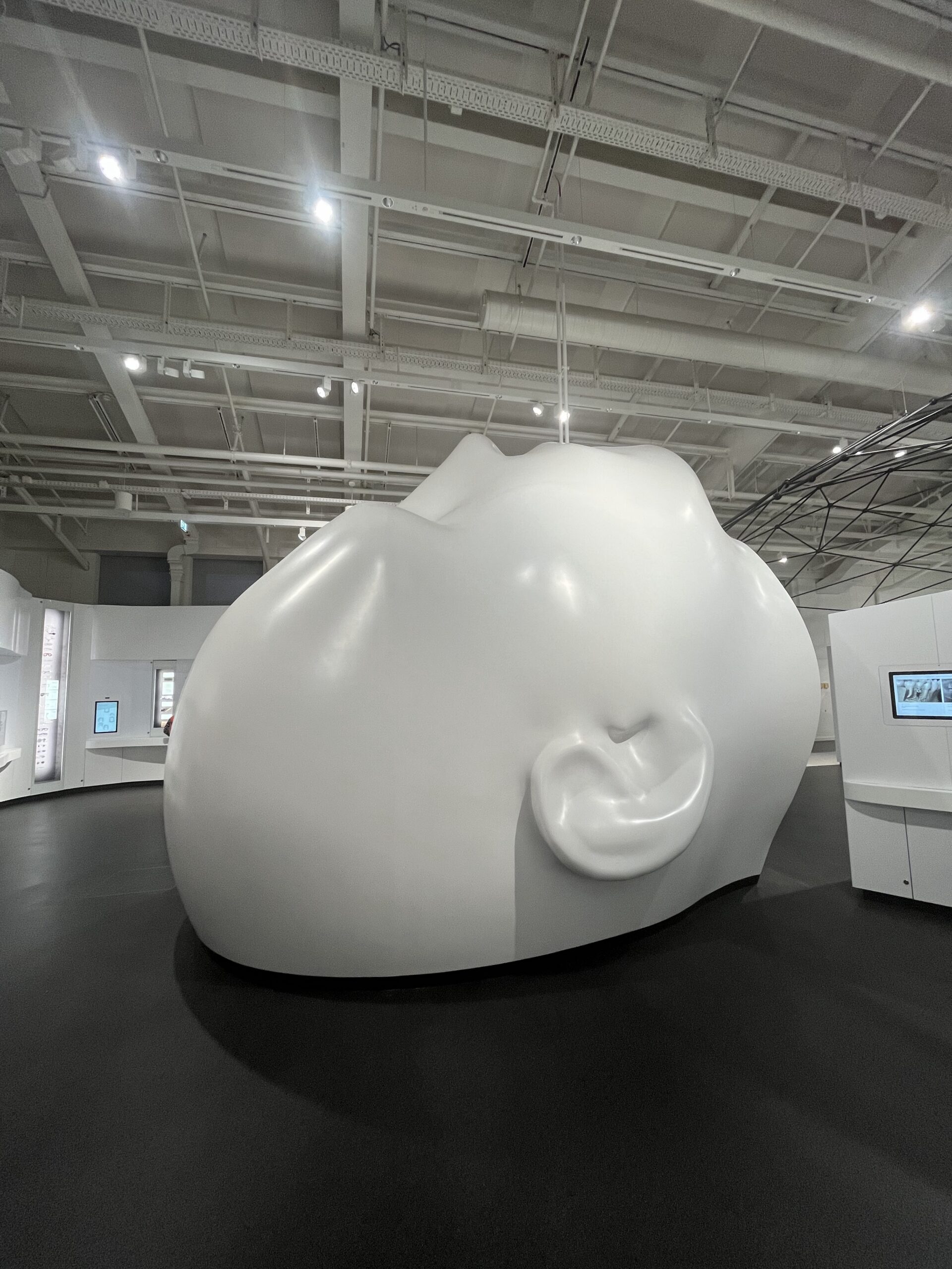 Oversized human head and ear model in the Deutsches Museum Munich health exhibition