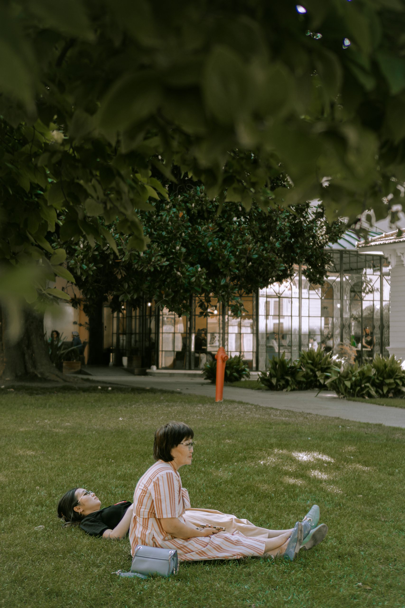 A Woman Resting in Public Is Still a Radical Sight - Two women relax on a green lawn under shade, enjoying a sunny day.