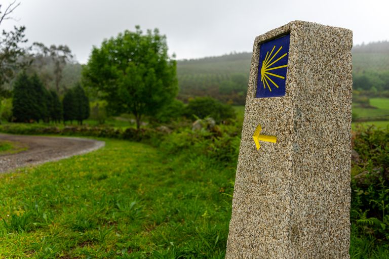 Camino FAQ: Honest Answers Before You Walk - A tranquil scene of a waymark on the Camino de Santiago walking route.