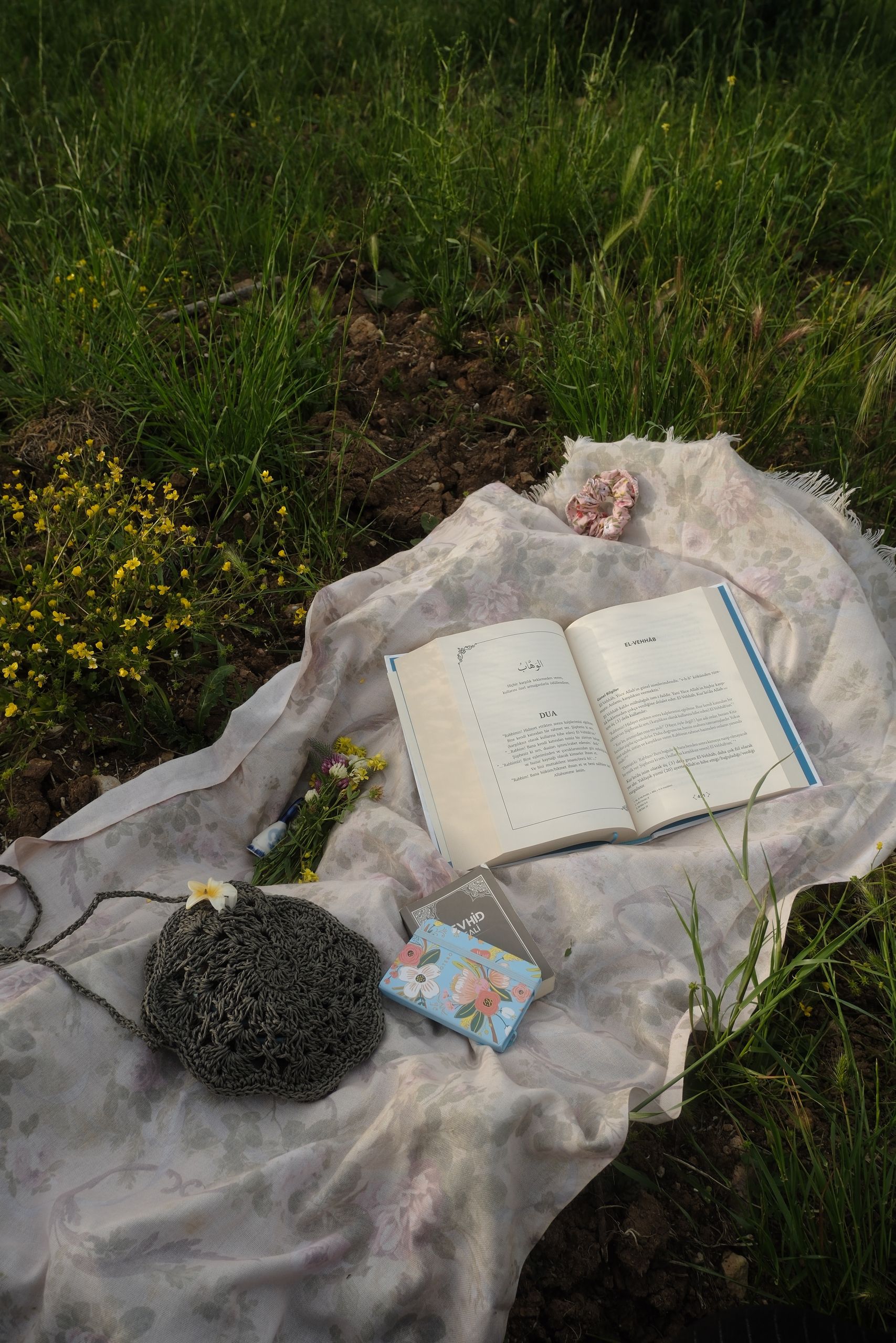 I Want Travel to Move Me Toward Something - I Want Travel to Move Me Toward Something - An open book on a floral blanket outdoors, surrounded by nature.