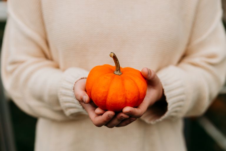 Importance of Gratitude - A person holding a small pumpkin in a cozy sweater during fall.