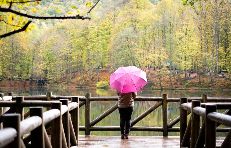 Rainy Travel Days Give Back a Different Beauty - A person stands on a wooden platform holding a pink umbrella, overlooking a tranquil lake surrounded by autumn trees.