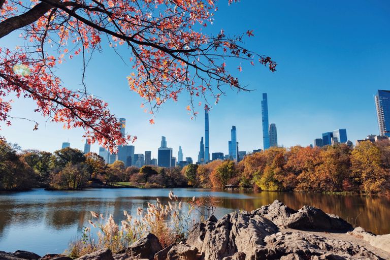 Why Fall Is My Favorite Season for Slow Travel - Stunning view of New York City's skyline framed by fall foliage in Central Park.