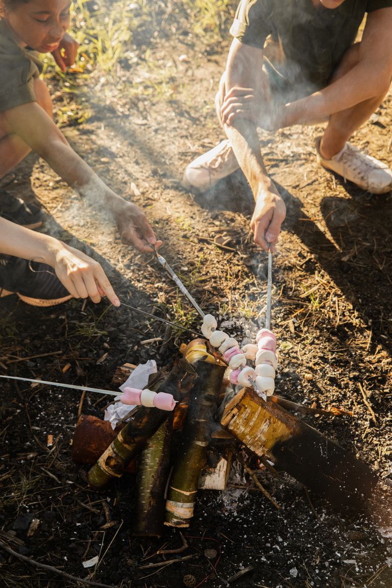 SUMPRI Marshmallow Roasting Sticks Review | DG Speaks - Children enjoy roasting marshmallows on a campfire during a sunny summer day, embodying outdoor adventure.