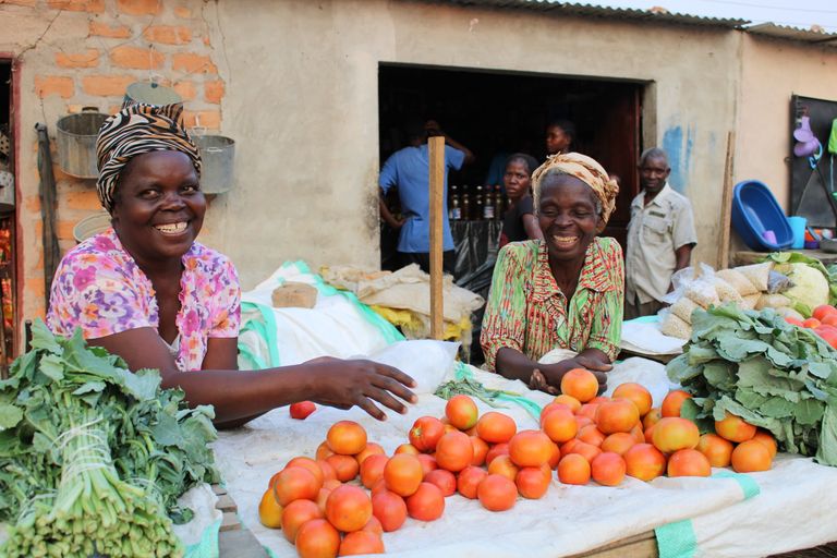 Sustainable Food Systems Need Women’s Wisdom - Two women selling fresh produce at a vibrant market stall in Nangoma, Zambia, showcasing local culture.