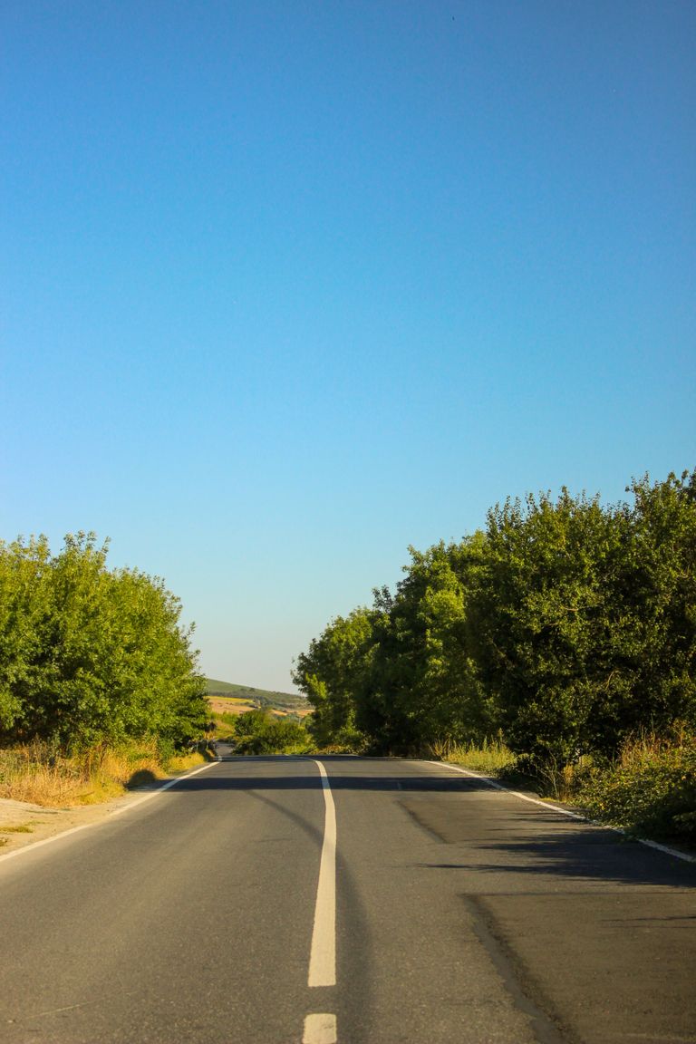 The Summer Road Has Its Own Memory - A quiet rural road lined with lush trees under a clear blue sky, perfect for serene drives.