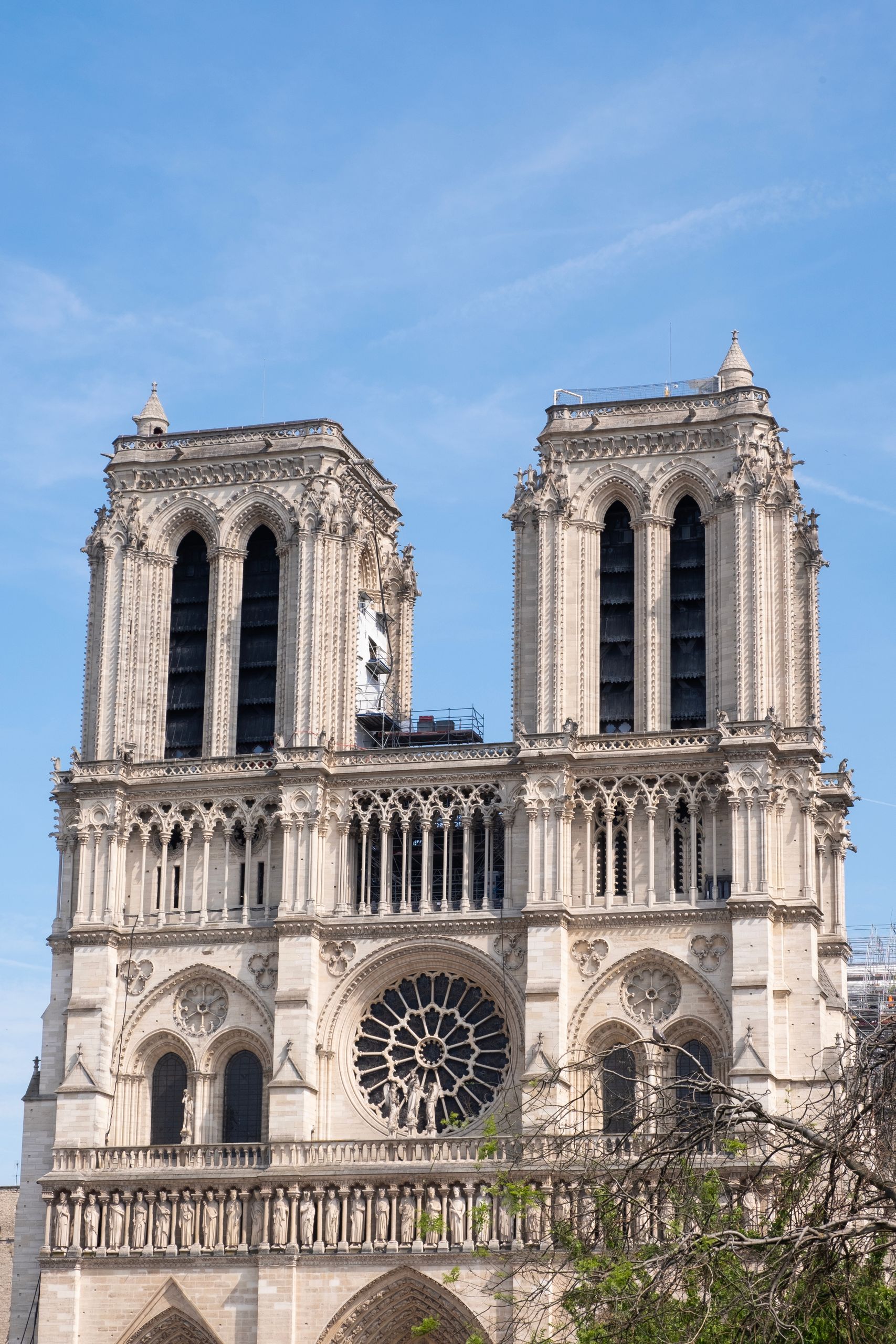 Vertical shot of the iconic Notre-Dame Cathedral in Paris, featuring its gothic architecture against a blue sky.