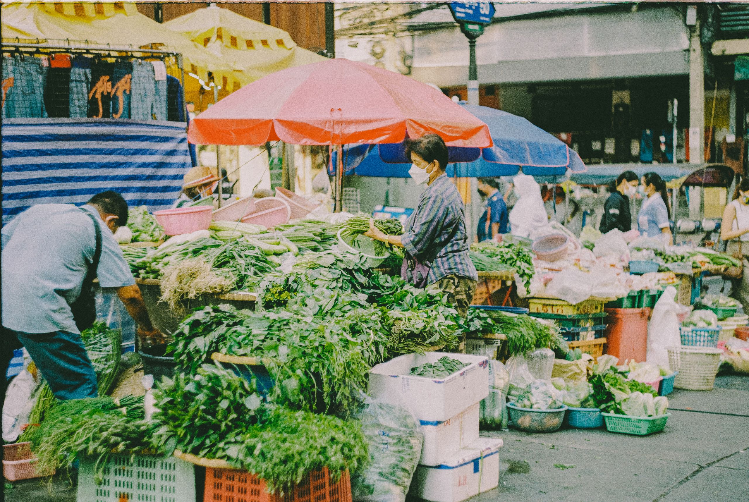 What a Morning Market Reveals About a City - Bustling street market scene featuring vendors with fresh vegetables and colorful umbrellas.