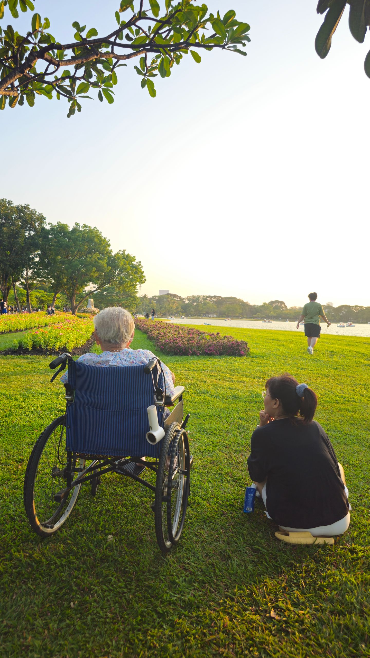 What a Park Teaches Me About Public Care - Elderly person and caregiver enjoy a serene afternoon by the river in Bangkok.