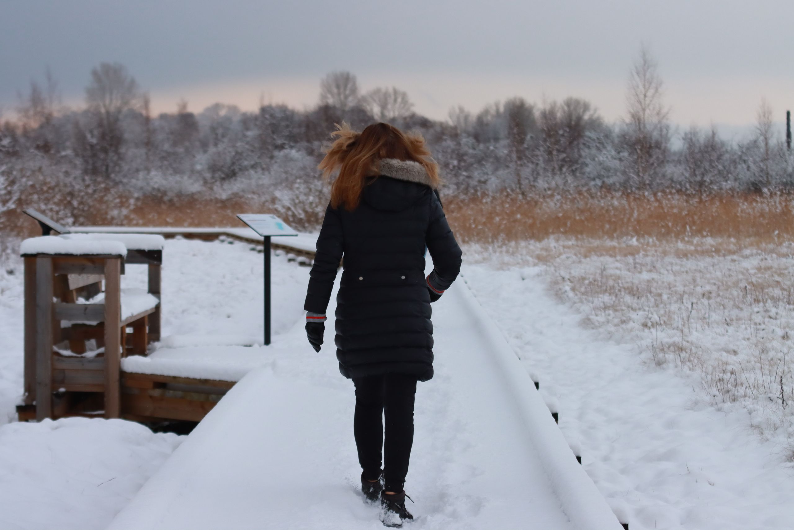 What I Leave Behind on a December Walk - Rear view of a woman in a black jacket walking on a snowy path through a winter landscape.