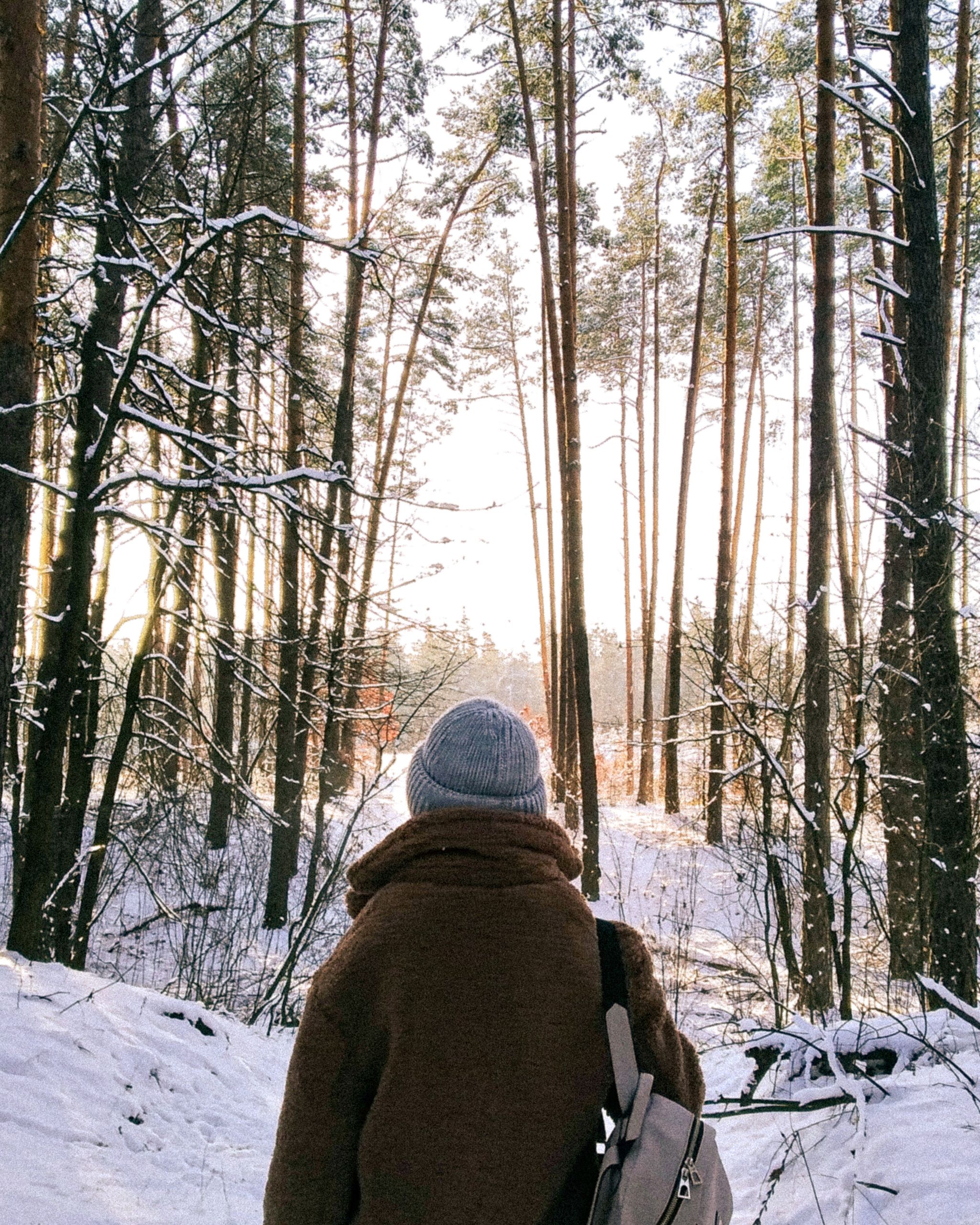 Why a Winter Walk Makes Me Feel More Alive - A bundled traveler explores a snowy forest in Kiev during winter.