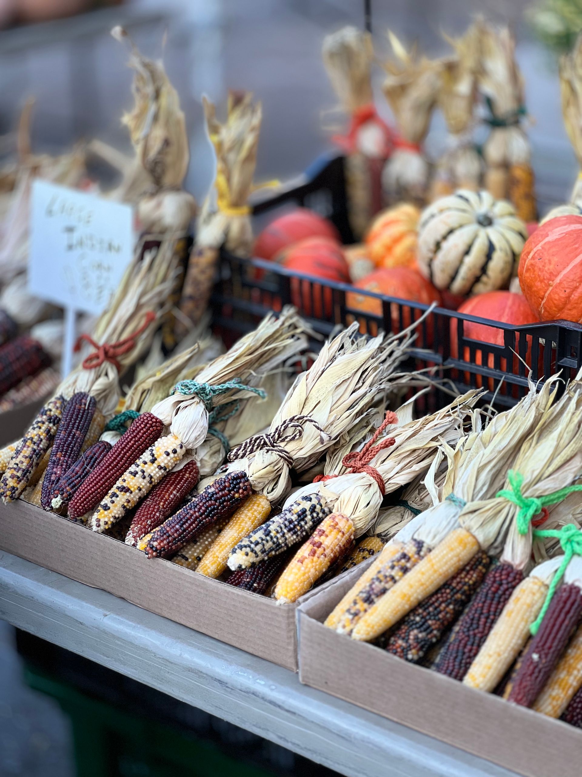 Why I Keep Returning to Markets in the Fall - Colorful Indian corn and gourds displayed at a market, capturing the essence of fall harvest.